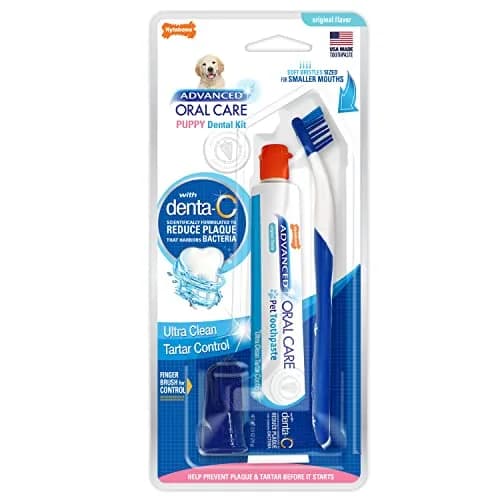 Nylabone Puppy Dental Kit | Advanced Oral Care for Puppies, 3 Count | Promote Healthy Teeth & Gums thumbnail 1