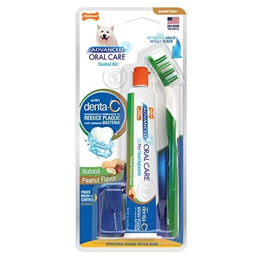 Nylabone Advanced Oral Care Natural Dog Dental Kit Peanut Flavor 2.5 oz (74ml) | Vet Recommended for Healthy Teeth & Gums thumbnail 1