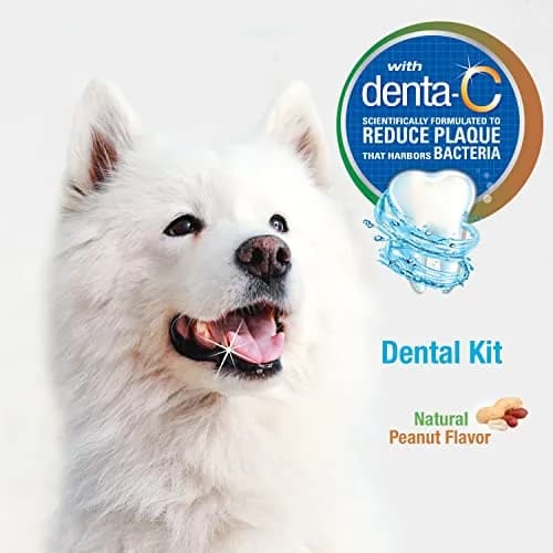 Nylabone Advanced Oral Care Natural Dog Dental Kit Peanut Flavor 2.5 oz (74ml) | Vet Recommended for Healthy Teeth & Gums thumbnail 4