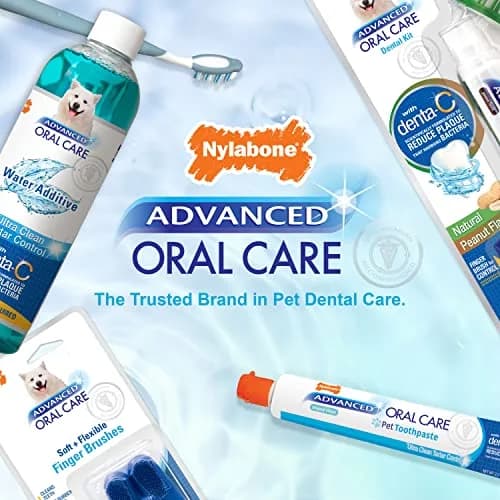 Nylabone Advanced Oral Care Natural Dog Dental Kit Peanut Flavor 2.5 oz (74ml) | Vet Recommended for Healthy Teeth & Gums thumbnail 7