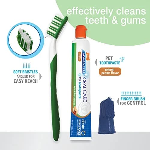 Nylabone Advanced Oral Care Natural Dog Dental Kit Peanut Flavor 2.5 oz (74ml) | Vet Recommended for Healthy Teeth & Gums thumbnail 2