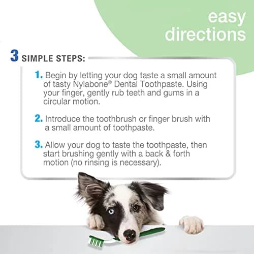 Nylabone Advanced Oral Care Natural Dog Dental Kit Peanut Flavor 2.5 oz (74ml) | Vet Recommended for Healthy Teeth & Gums thumbnail 3