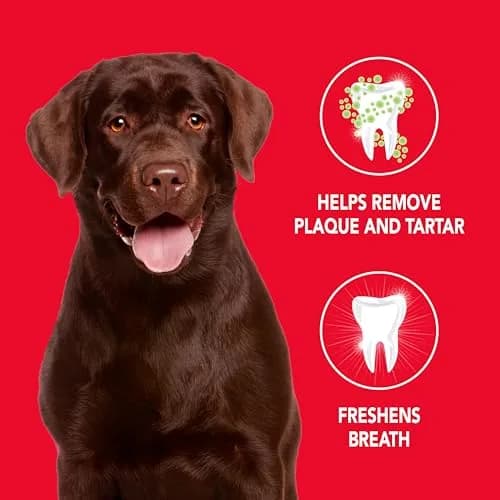 Petrodex Dog Toothpaste Peanut Flavor 70.8g (2.5oz) | Cleans Teeth & Freshens Breath thumbnail 2