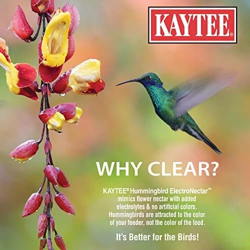 Kaytee Hummingbird ElectroNectar 64 oz | Hydrating Wild Bird Food with Electrolytes thumbnail 3