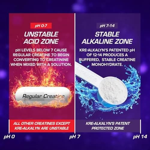 EFX Sports Kre-Alkalyn EFX Powder | pH Correct Creatine Monohydrate | Muscle & Strength | 66 Servings (Unflavored) thumbnail 5