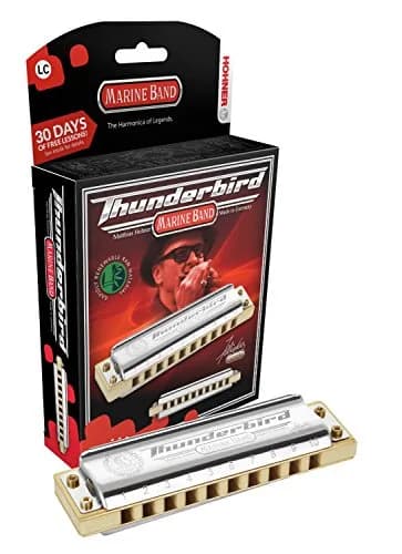 Hohner Thunderbird Harmonica Double Low F Stainless Steel | Deep-Toned, Powerful Sound thumbnail 1