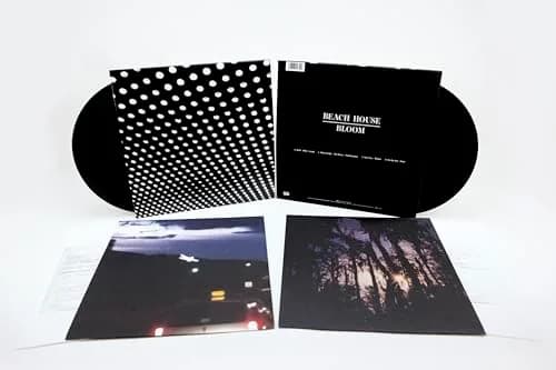 SUBPOP Bloom Vinyl LP Album 25 min | Alternative Rock with Meticulous Layers thumbnail 1