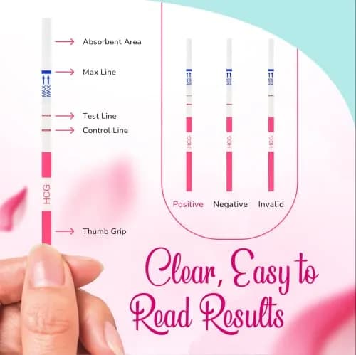 Clinical Guard Pregnancy Tests Strips - HCG Test Strip Kit - 25 Count | Sensitive & Fast Home Pregnancy Test thumbnail 4
