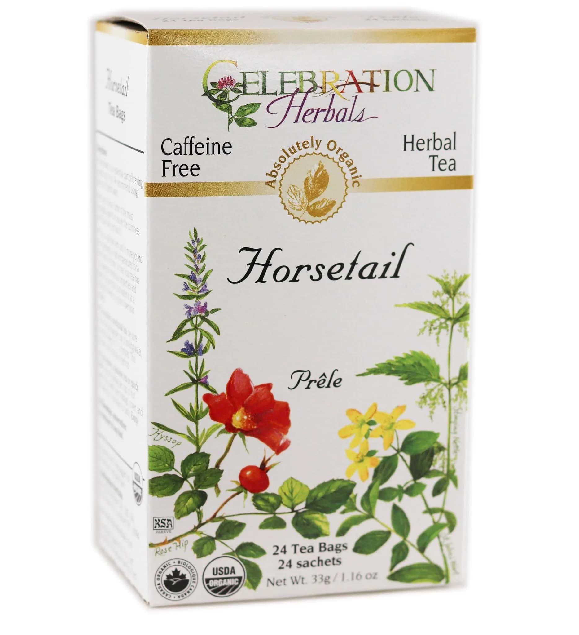 Celebration Herbals Horsetail Tea Organic 24 Bag | Ancient Herb Support in India - main product image