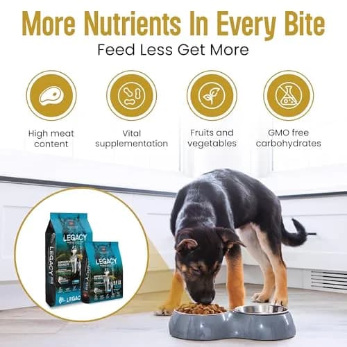 LEGACY High Protein Dog Food — Salmon First, Grain-Free, Immunity Support, All Life Stages, 11.34kg (25 lb) thumbnail 3