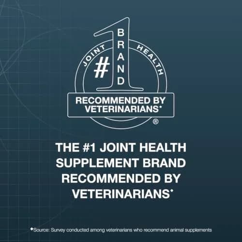 Nutramax Dasuquin MSM Joint Supplement for Large Dogs 150ct | Supports Healthy Joints & Cartilage thumbnail 3