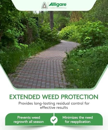 ALLIGARE Mojave 70EG Weed Killer for Grasses, Weeds & Vines | Long-Lasting Residual Bareground Control (70-120c) thumbnail 6