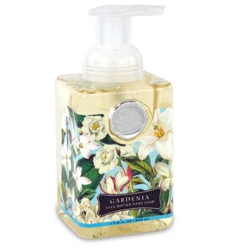 Michel Design Works Honey Almond Foaming Hand Soap with Dispenser 530ml (17.8 Fl Oz) | Gentle Cleansing & Moisturizing — Floral / 17.8 Fl Oz