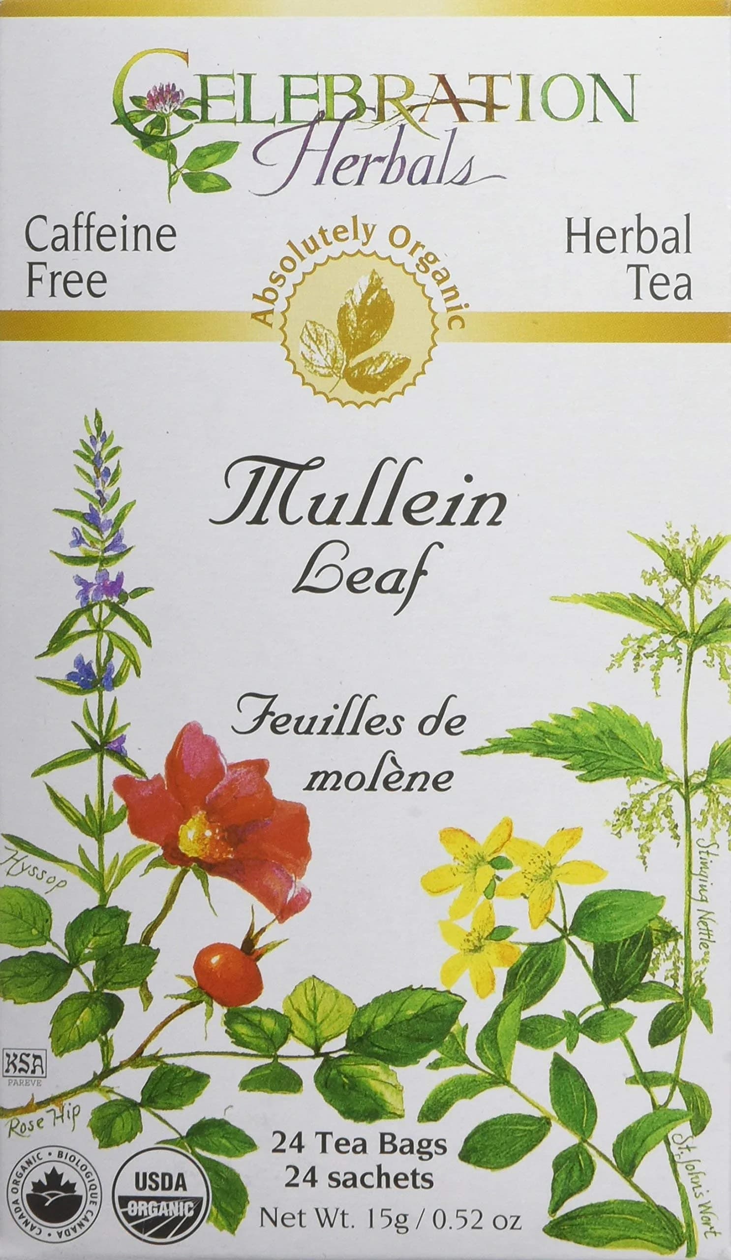 Celebration Herbals Organic Mullein Leaf Tea Bags 24 Count | Herbal Tea for Respiratory Support in India - main product image