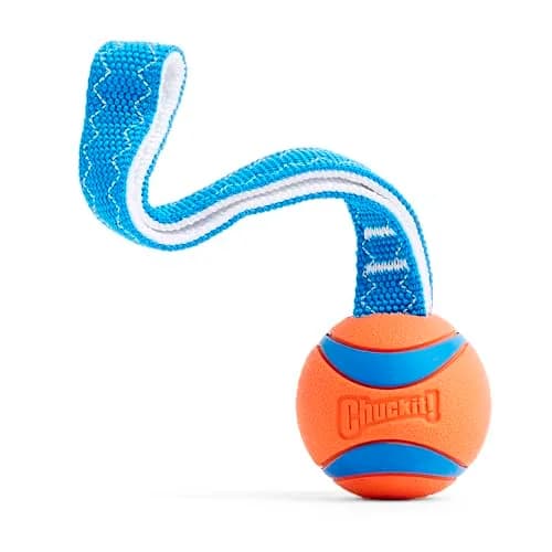Chuckit! Ultra Tug Dog Toy Medium 2.5" (6.4 cm) | Durable Fetch & Tug Ball for Dogs 20-60lbs thumbnail 1