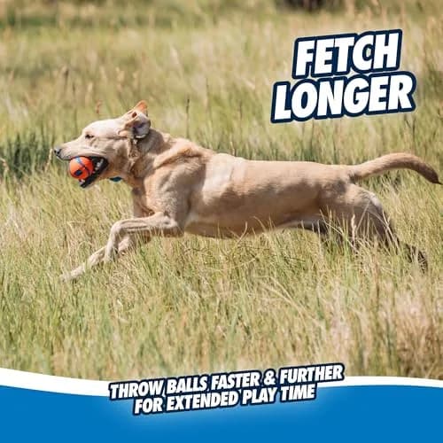 Chuckit! Ultra Tug Dog Toy Medium 2.5" (6.4 cm) | Durable Fetch & Tug Ball for Dogs 20-60lbs thumbnail 5