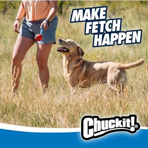 Chuckit! Ultra Tug Dog Toy Medium 2.5" (6.4 cm) | Durable Fetch & Tug Ball for Dogs 20-60lbs thumbnail 3