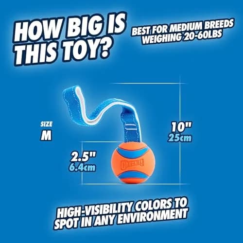 Chuckit! Ultra Tug Dog Toy Medium 2.5" (6.4 cm) | Durable Fetch & Tug Ball for Dogs 20-60lbs thumbnail 4