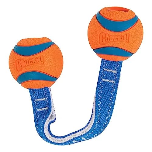Chuckit! Ultra Duo Tug Toy for Small Dogs (0-20 lbs) | Durable Tug & Fetch Toy for Indoor/Outdoor Play thumbnail 2