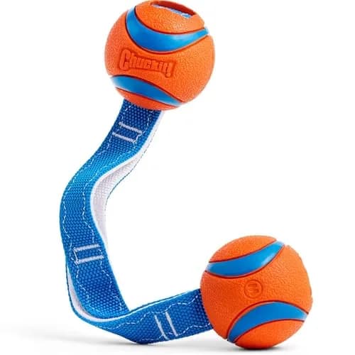 Chuckit! Ultra Duo Tug Dog Toy Medium 2.5in (6.4cm) Orange and Blue | Fetch and Tug-of-War for Dogs 20-60lbs thumbnail 1
