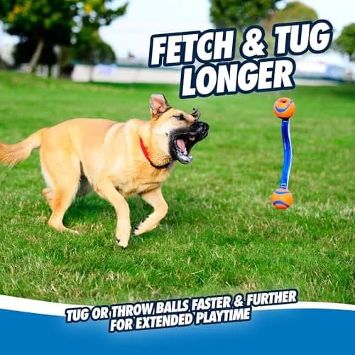 Chuckit! Ultra Duo Tug Dog Toy Medium 2.5in (6.4cm) Orange and Blue | Fetch and Tug-of-War for Dogs 20-60lbs thumbnail 6
