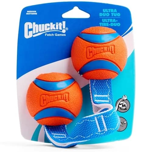 Chuckit! Ultra Duo Tug Dog Toy Medium 2.5in (6.4cm) Orange and Blue | Fetch and Tug-of-War for Dogs 20-60lbs thumbnail 4
