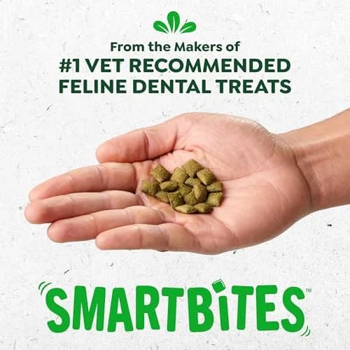 Greenies Feline Smartbites Skin & Fur Health Cat Treats, Salmon, 60g (2.1 oz) | Veterinarian-Formulated for Healthy Skin & Fur thumbnail 3
