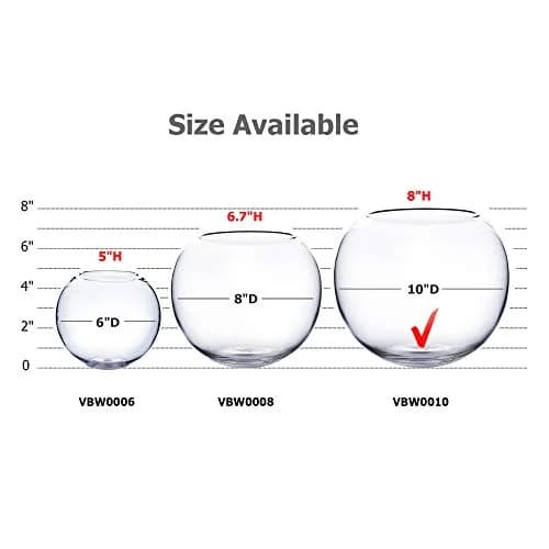 WGVI Clear Bubble Glass Vase 25cm (10") Diameter, 20cm (8") Height | Hand-Blown Decorative Accent Piece thumbnail 3