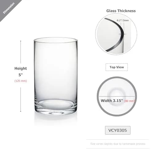 WGVI Thick Clear Cylinder Glass Vase 3" W x 5" H | Elegant Floral Container & Wedding Centerpiece thumbnail 2
