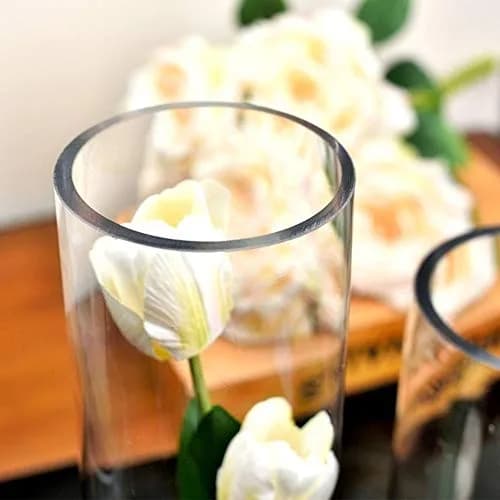 WGVI Thick Weighted Clear Cylinder Glass Vase 3" W x 12" H | Elegant Floral Display thumbnail 4