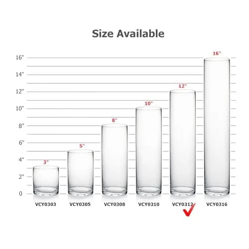 WGVI Thick Weighted Clear Cylinder Glass Vase 3" W x 12" H | Elegant Floral Display thumbnail 3