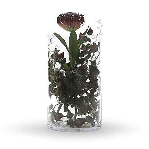 WGVI Clear Cylinder Glass Vase 18cm (7") x 30cm (12") | Handcrafted Home Accent Decor thumbnail 4