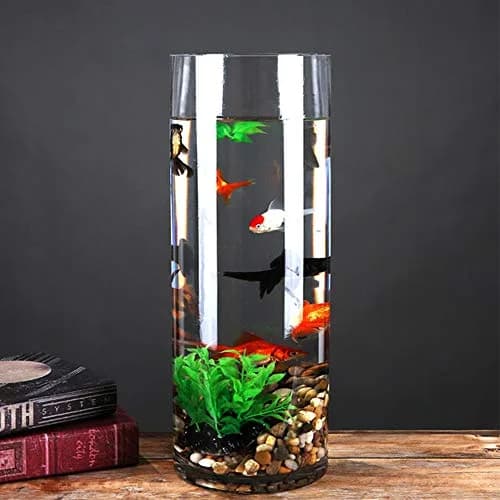 WGVI Clear Cylinder Vase 180 mm (7") x 500 mm (20") | Handcrafted Glassware for Events & Home Decor thumbnail 6