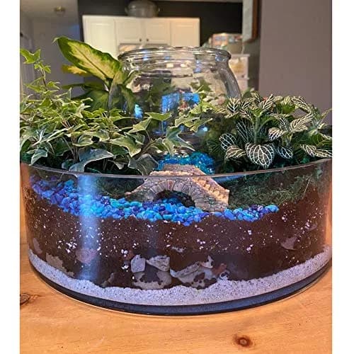 WGVI WGV Cylinder Vase 12"x4" Clear Flat Pan Style | Floral Centerpiece for Wedding & Home Decor thumbnail 5