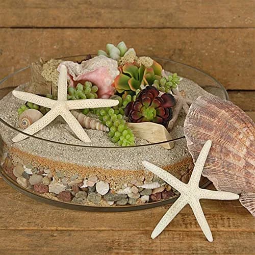 WGVI WGV Cylinder Vase 12"x4" Clear Flat Pan Style | Floral Centerpiece for Wedding & Home Decor thumbnail 6