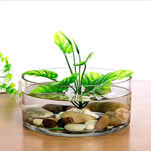 WGVI WGV Cylinder Vase 12"x4" Clear Flat Pan Style | Floral Centerpiece for Wedding & Home Decor thumbnail 7