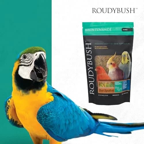 RoudyBush Daily Maintenance Bird Food Crumble Pellets 227 g (8 OZ) | Complete Daily Feed for Parakeets, Cockatiels, Conures, Lovebirds thumbnail 8