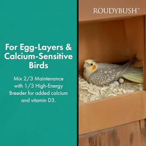 RoudyBush Daily Maintenance Bird Food Mini Pellets 227g (8 oz) | Formulated by Avian Nutritionist thumbnail 4