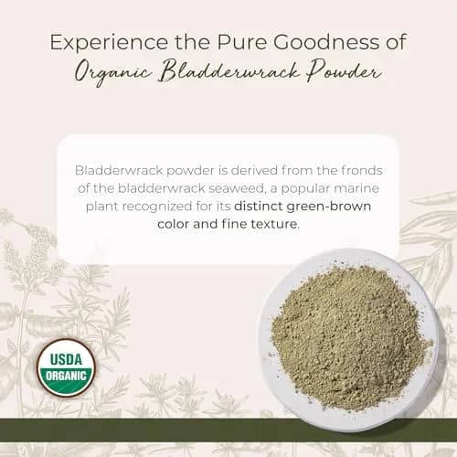 Starwest Botanicals Organic Bladderwrack Powder 113g (4 oz) | USDA Certified Organic Marine Botanical thumbnail 2