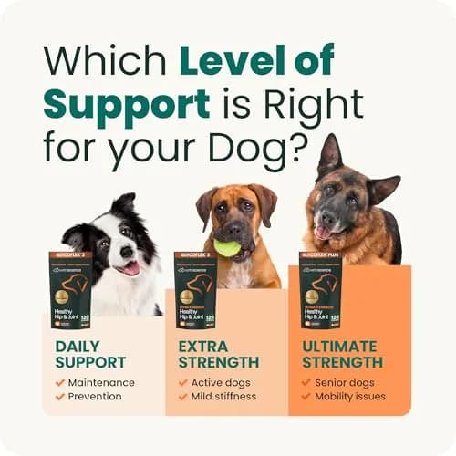 VetriScience Extra Strength Healthy Hip & Joint Chews for Dogs, 360 Chews (1080g / 2.4lb) | Vet-Formulated Mobility Support thumbnail 8
