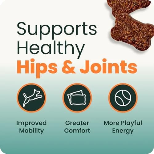 VetriScience Extra Strength Healthy Hip & Joint Chews for Dogs, 360 Chews (1080g / 2.4lb) | Vet-Formulated Mobility Support thumbnail 3