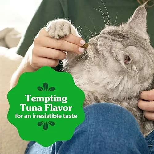 Greenies Feline Natural Dental Cat Treats, Tempting Tuna Flavor, 2.1 oz (60 g) | Vet-Recommended for Daily Dental Care thumbnail 8