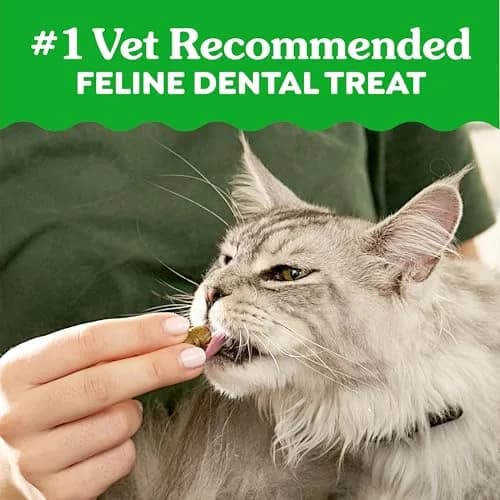 Greenies Feline Natural Dental Cat Treats, Tempting Tuna Flavor, 2.1 oz (60 g) | Vet-Recommended for Daily Dental Care thumbnail 3