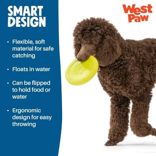 WEST PAW Zisc High-Flying Disc Dog Toy - Small - Glow | Durable, Floatable & Eco-Friendly thumbnail 6
