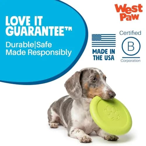 WEST PAW Zisc High-Flying Disc Dog Toy - Small - Glow | Durable, Floatable & Eco-Friendly thumbnail 7