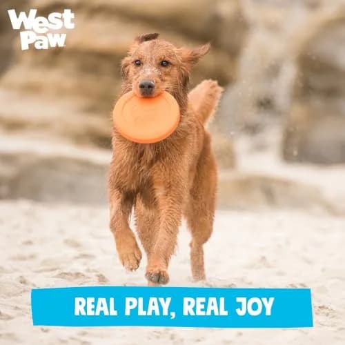 WEST PAW Zisc High-Flying Disc Dog Toy - Small - Glow | Durable, Floatable & Eco-Friendly thumbnail 8