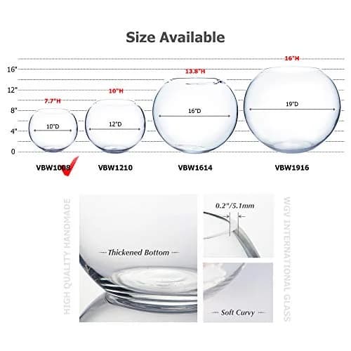 WGVI Large Glass Bubble Vase 23cm (9"D) | Handcrafted Clear Decorative Bowl for Home & Events thumbnail 3