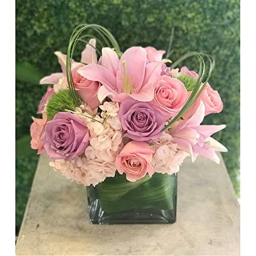 WGVI WGV Cube Glass Vase 6" Clear Elegant Floral Accent Container thumbnail 3