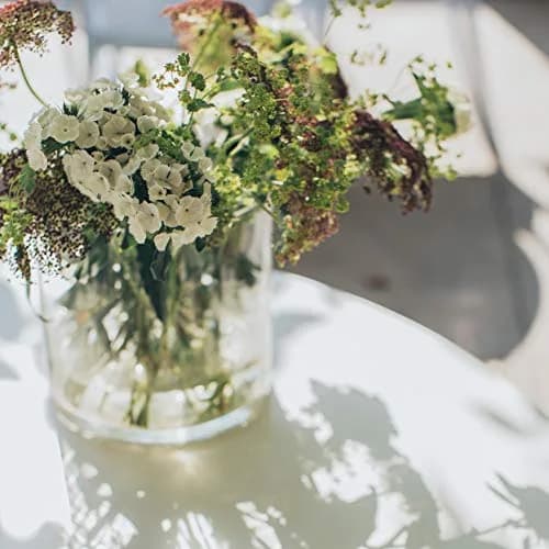 WGVI 7" Cylinder Vase | Clear Wide Large Diameter Glassware for Home Accent Decor thumbnail 5
