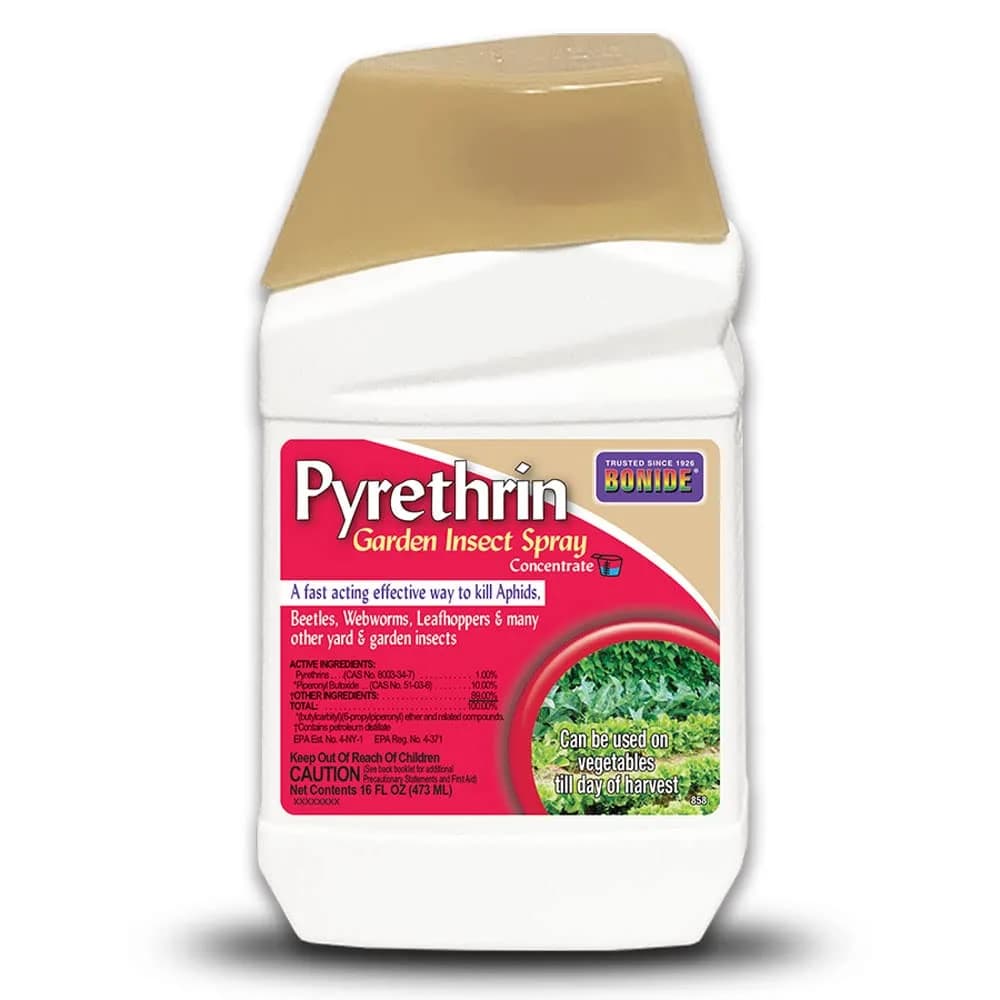 Bonide Pyrethrin Garden Insect Spray Concentrate 16 oz (473 ml) | Kills Aphids, Beetles, Webworms & More